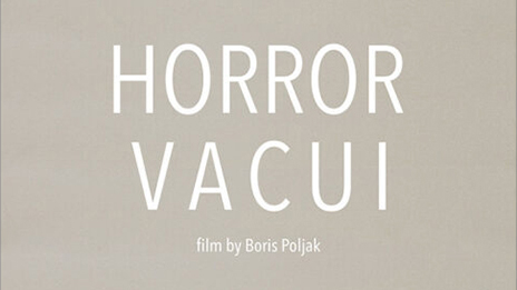 HORROR VACUI