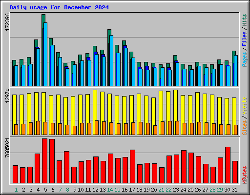 Daily usage for December 2024