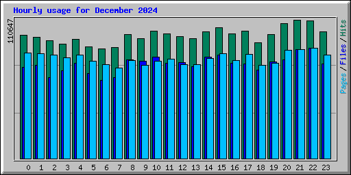 Hourly usage for December 2024